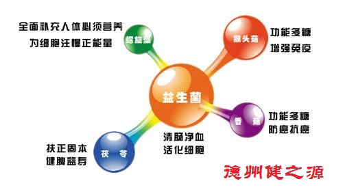 腸胃功能差，益生菌就可以解決一切