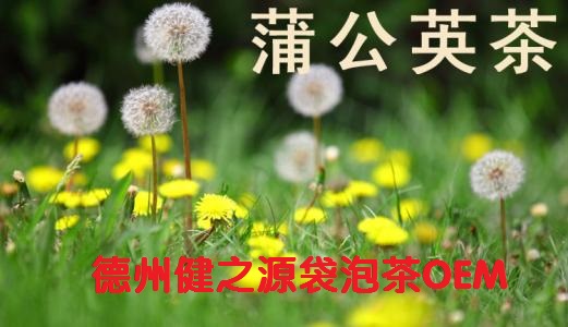 蒲公英茶，今天您喝了嗎？